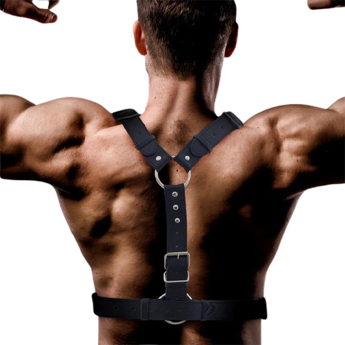 Intoyou "Fetish Line" arnés masculino Fabrio para pecho
