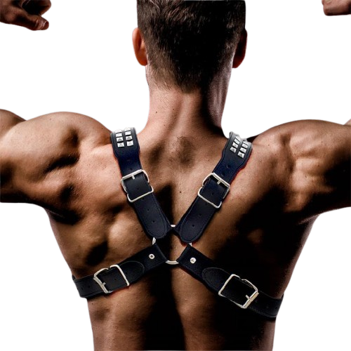 Intoyou "Fetish Line" arnés masculino Adonis para pecho