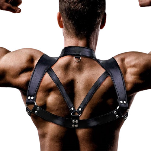 Intoyou "Fetish Line" arnés masculino Darius para pecho