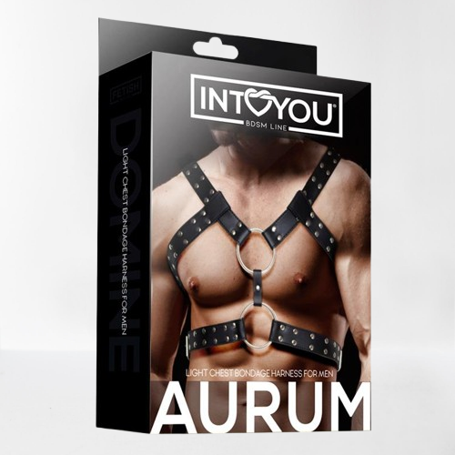 Intoyou "Fetish Line" arnés masculino Aurum para pecho