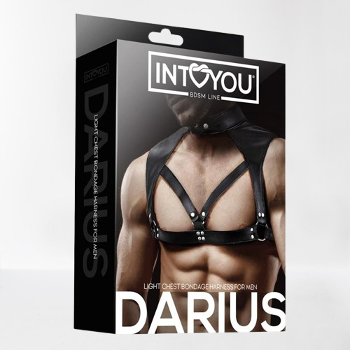 Intoyou "Fetish Line" arnés masculino Darius para pecho