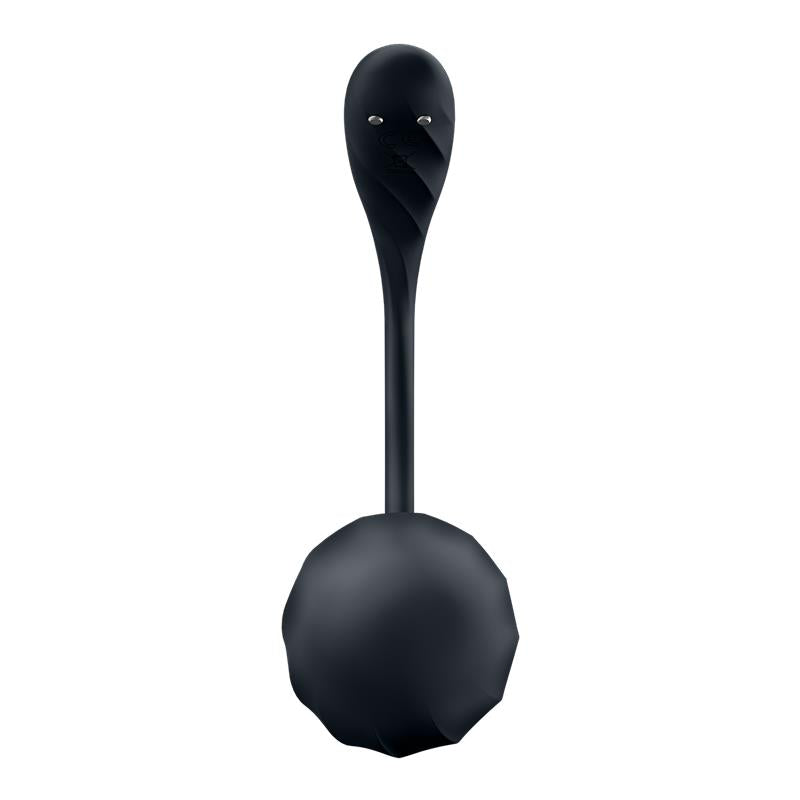 Satisfyer vibrador de braguita "Ribbed Petal" negro (con app)