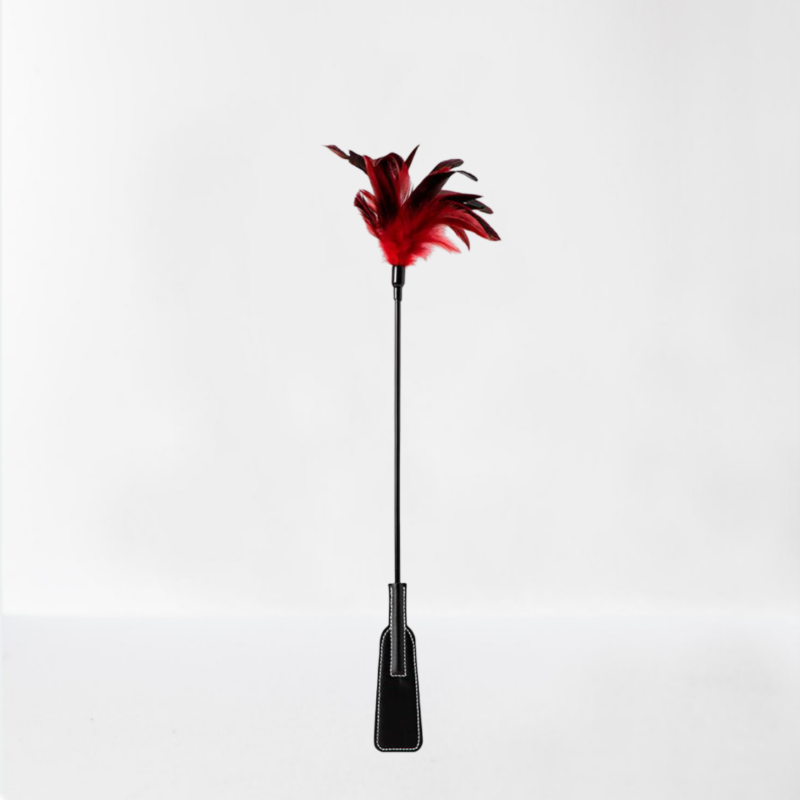LateToBed "BDSM Line" pala con plumas 2 en 1 27 cm
