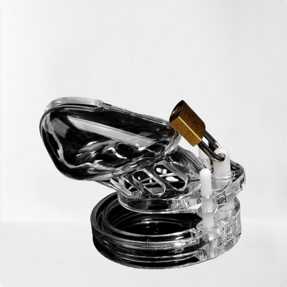 LateToBed BDSM Line jaula de castidad universal short transparente