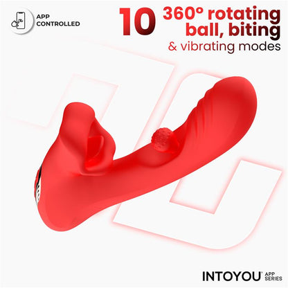 Intoyou App Series vibrador con biting y bola rotativa "Franky"